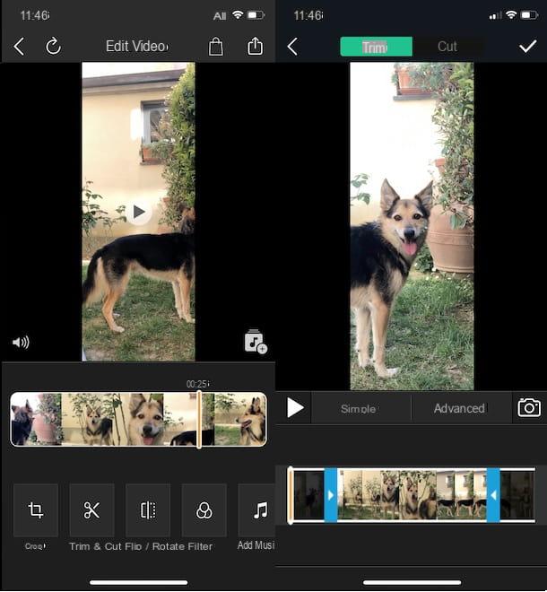 How to trim a video on iPhone