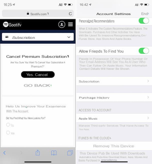 Cómo comprar Spotify Premium en iPhone